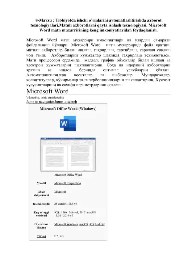 Microsoft Word