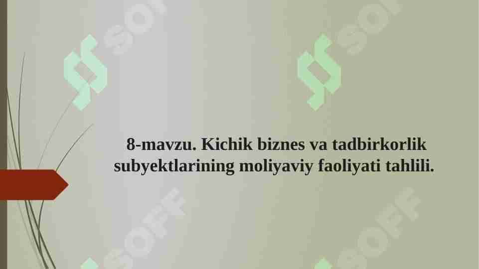 Kichik biznes va tadbirkorlik subyektlarining moliyaviy faoliyati tahlili.
