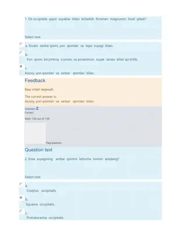 Ensa suyagi anatomiya test savollari