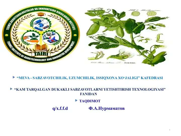 Kam tarqalgan dukkakli sabzavot ekinlari