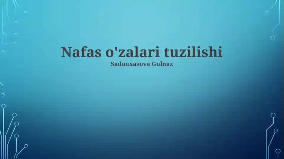 Nafas o'zalari tuzilishi