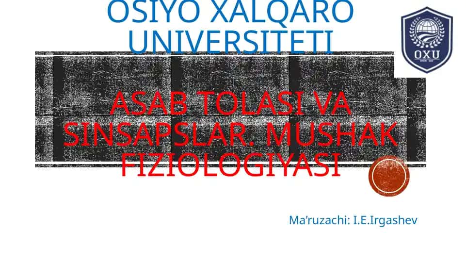Mushak fiziologiyasi