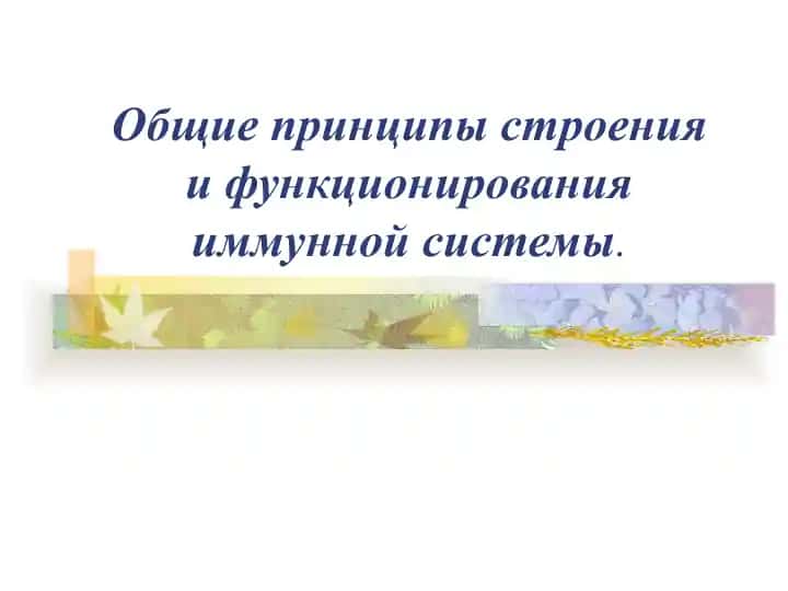 Общие принципы строения и функционирования иммунной системы