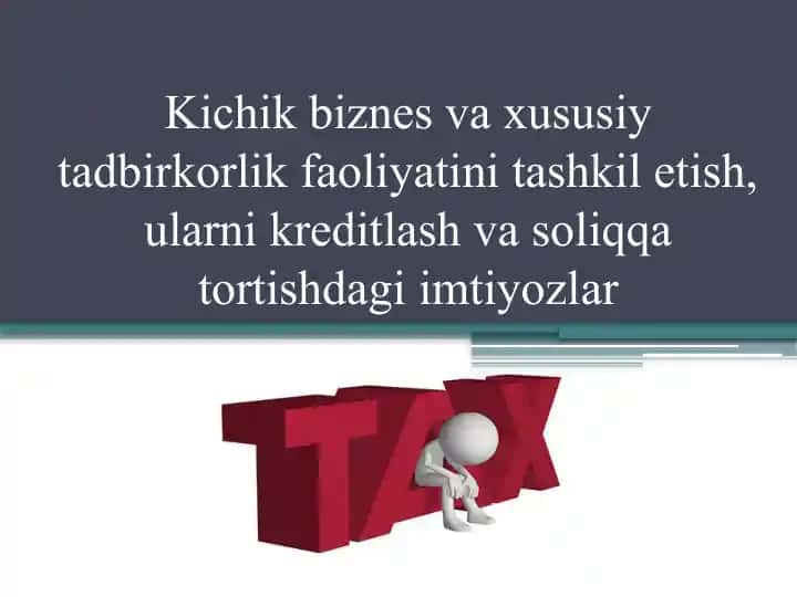 Kichik biznes va xususiy tadbirkorlik faoliyatini tashkil etish, ularni kreditlash va soliqqa tortishdagi imtiyozlar