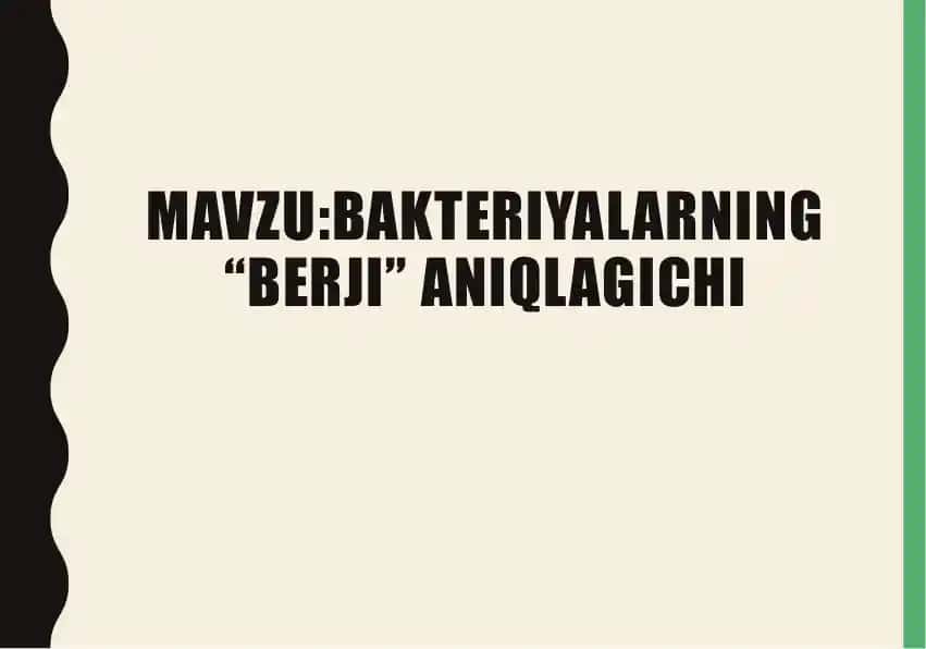 Berji aniqlagichi