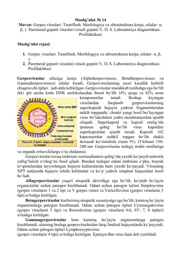 Gerpes viruslari