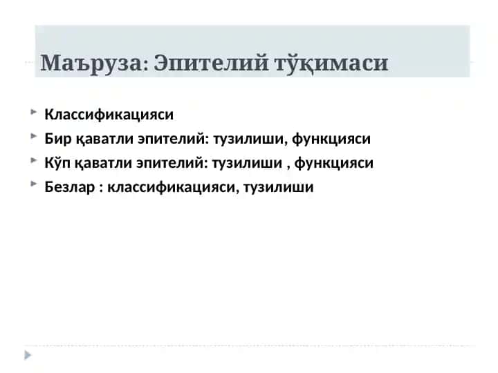 Эпителийтўқимаси