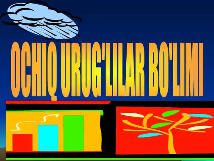 OCHIQ URUG'LILAR BO'LIMI