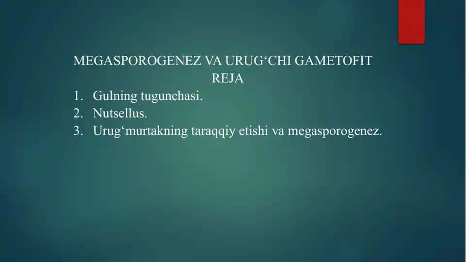 MEGASPOROGENEZ VA URUG‘CHI GAMETOFIT