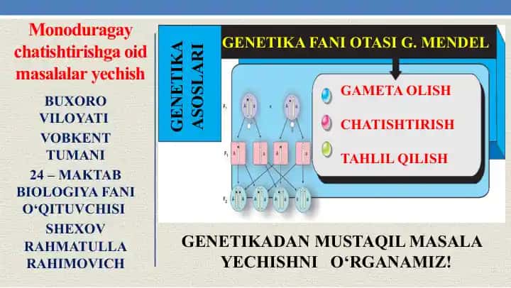 GENETIKADAN MUSTAQILMASALAYECHISHNI O‘RGANAMIZ!