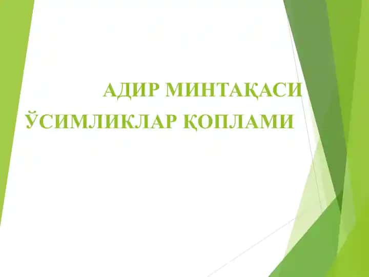 Адир минтақаси ўсимликлар қоплами