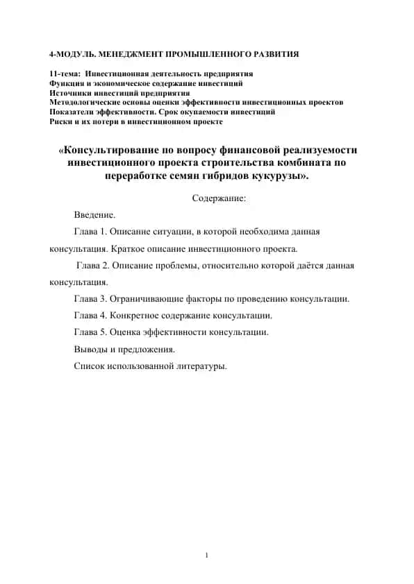 Консультация по финансовой реализуемости инвестиционного проекта