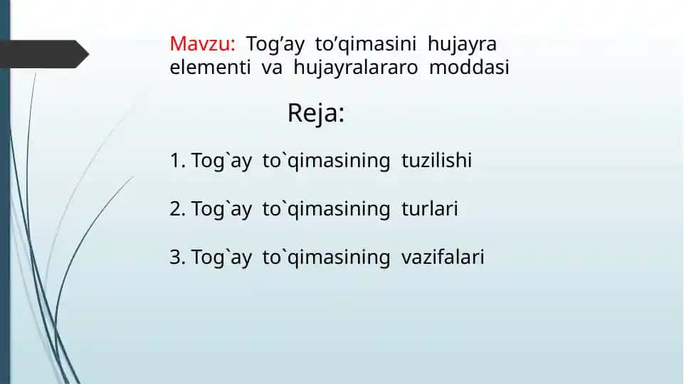 Tog’ay to’qimasini hujayra elementi va hujayralararo moddasi