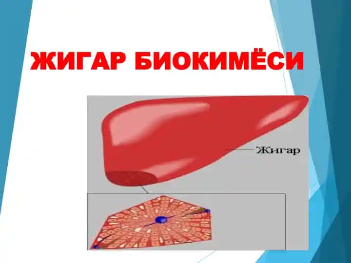 Жигар биокimyo