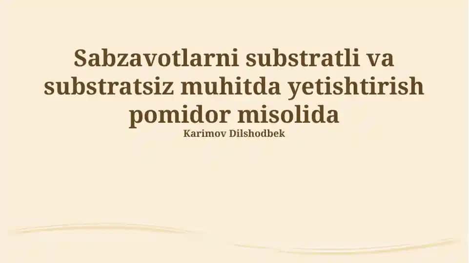 Pomidorni substratli va substratsiz muhitda yetishtirish usullari