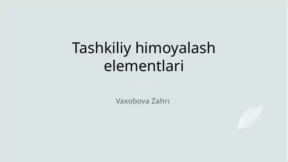 Tashkiliy himoyalash elementlari