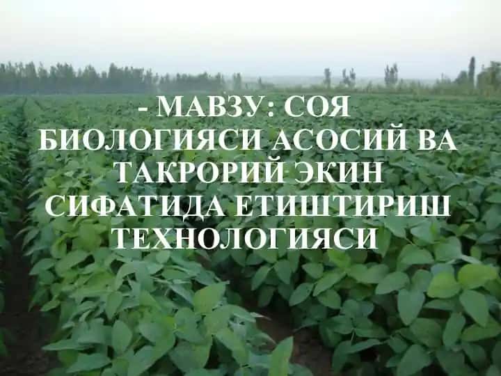 Соя биологияси ва навлари