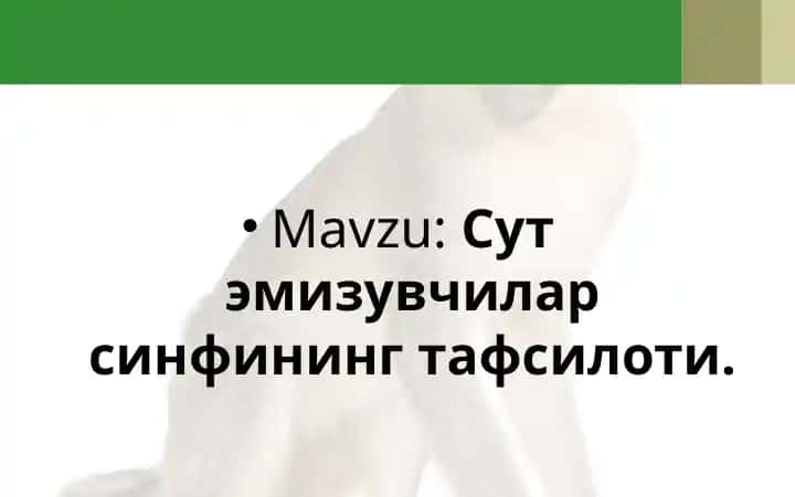 Сут эмизувчилар синфининг тафсилоти