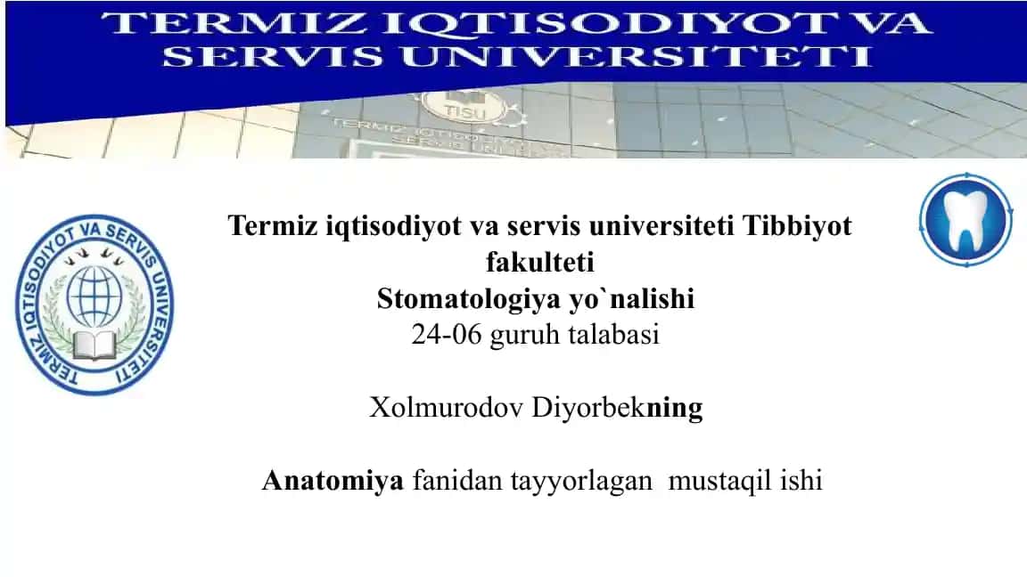 Oyoq suyaklari va ularning funktsiyalari