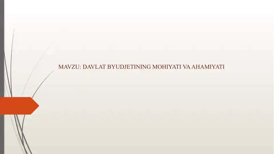 Davlat Byudjetining Mohiyati va Ahamiyati