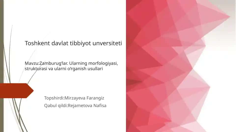 Zambrug‘lar morfalogiyasi strukturasi belgilari