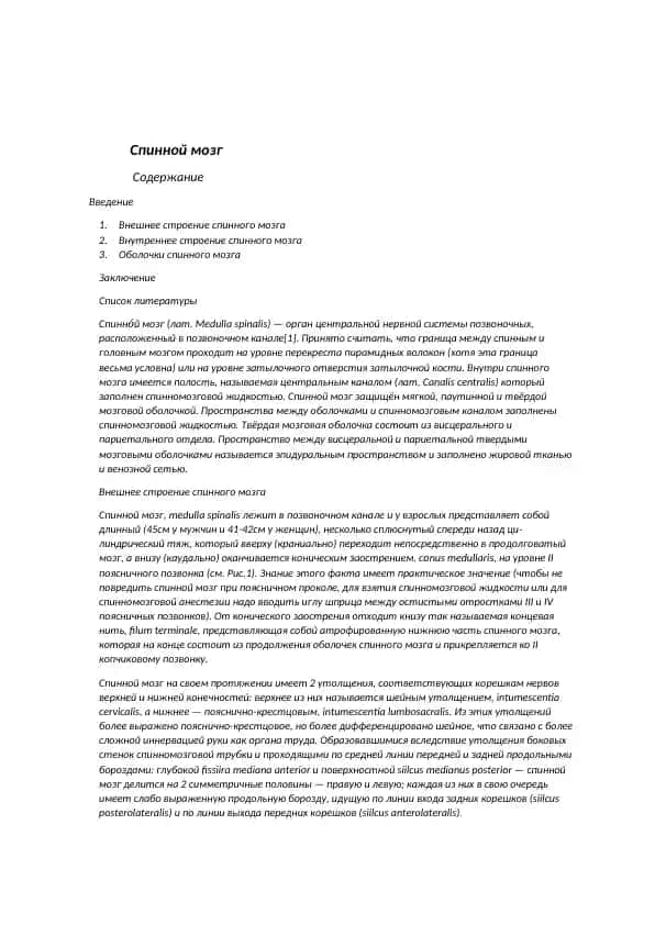 Спинной мозг