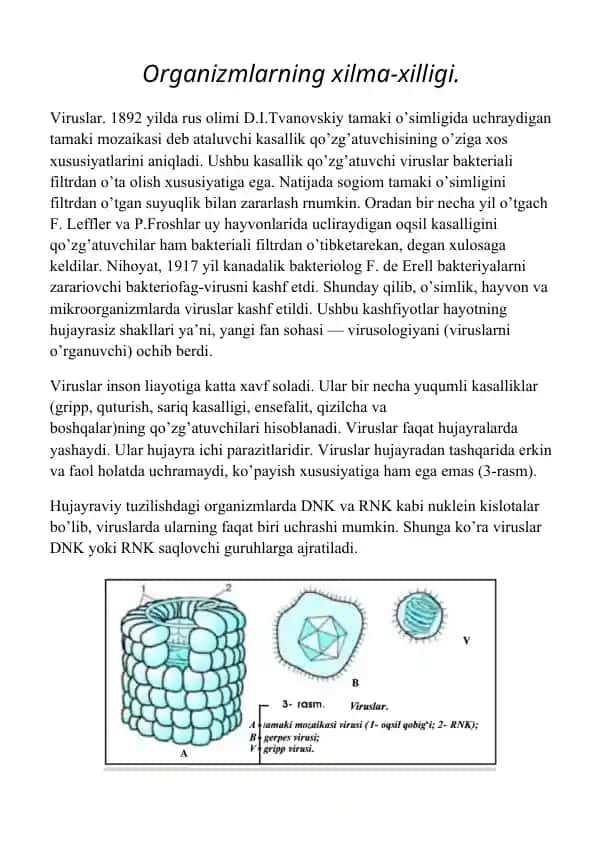 Viruslar
