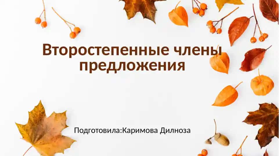 Второстепенные члены предложения