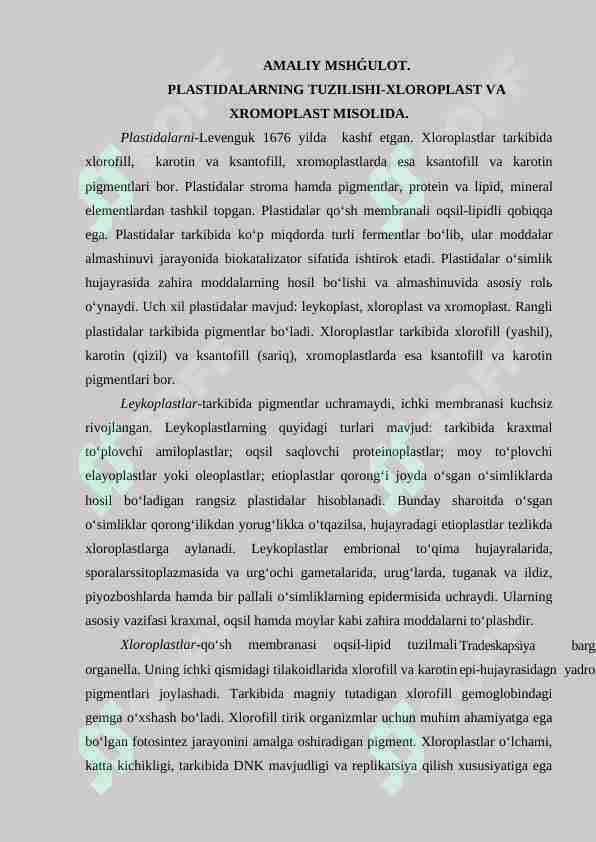 PLASTIDALARNING TUZILISHI-XLOROPLAST VA XROMOPLAST MISOLIDA.
