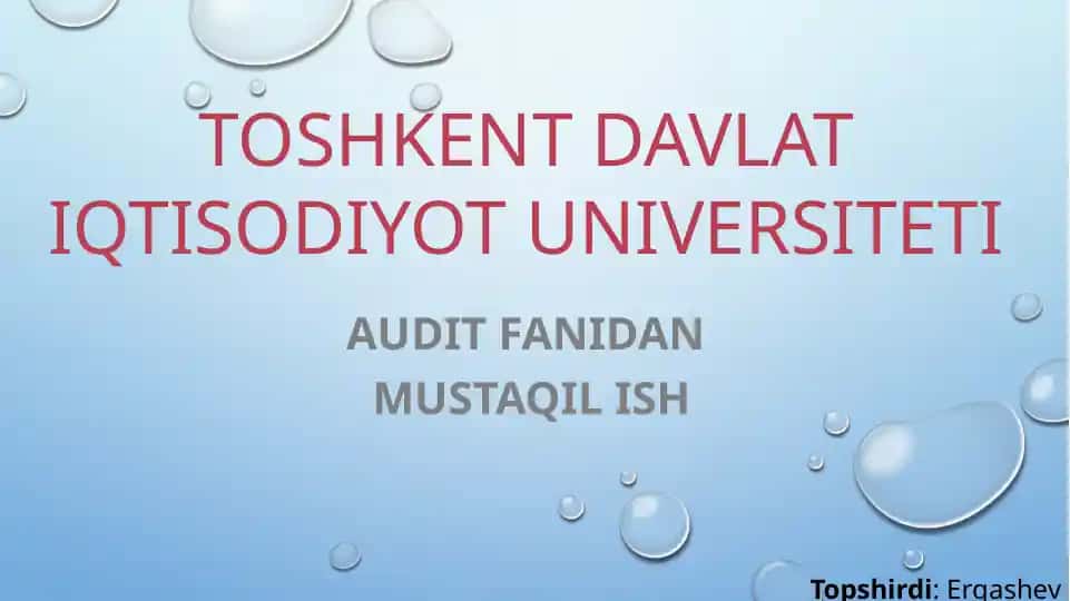 Audit faoliyati