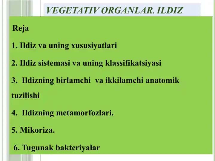 Ildiz