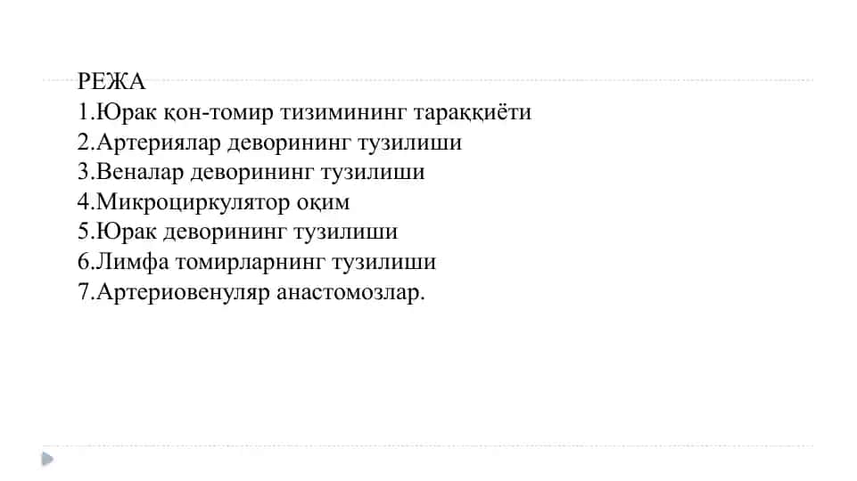 Yurak qon-tomir tizimi va uning anatomiyasi