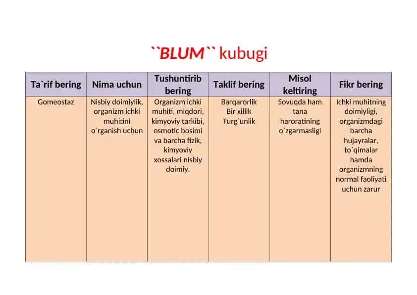 BLUM kubugi