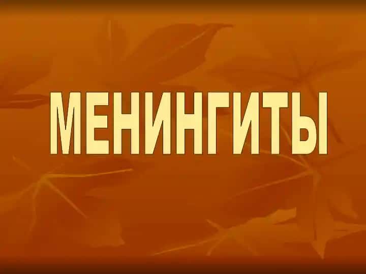 Менингит (Meningit)
