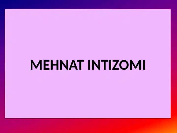 Mehnat Intizomi