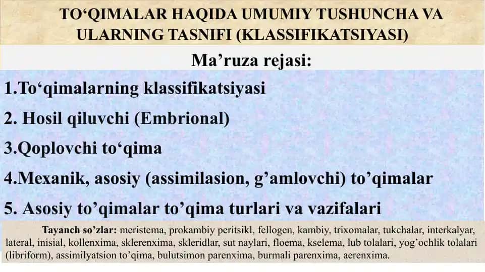 To‘qimalar Haqida Umumiy Tushuncha va Ularning Tasnifi (Klassifikatsiyasi)