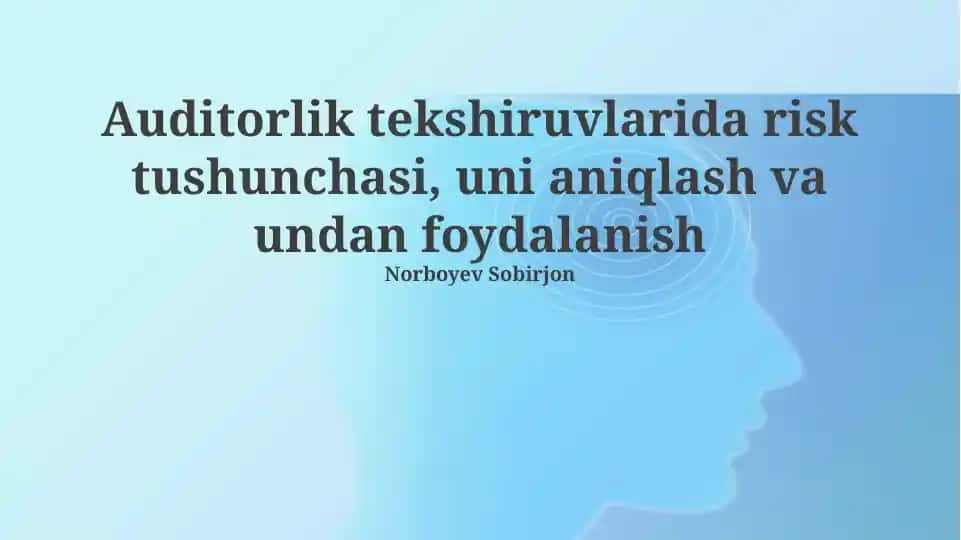 Auditorlik tekshiruvlarida risk tushunchasi, uni aniqlash va undan foydalanish