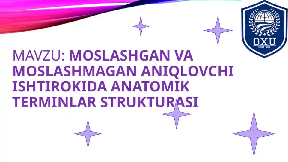 ANATOMIK TERMINLAR STRUKTURASI