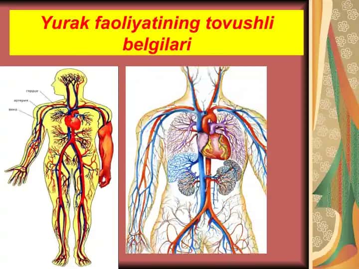 Yurak faoliyatining tovushli belgilari