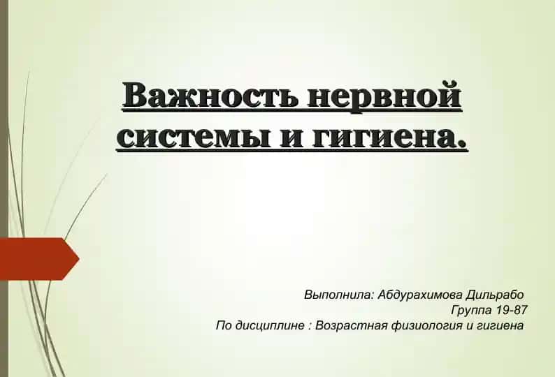 Важность нервной системы и гигиена