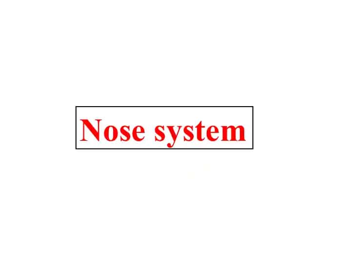 Nose system