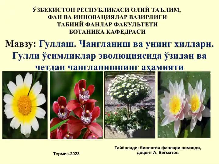 Гуллаш. Чангланиш ва унинг хиллари