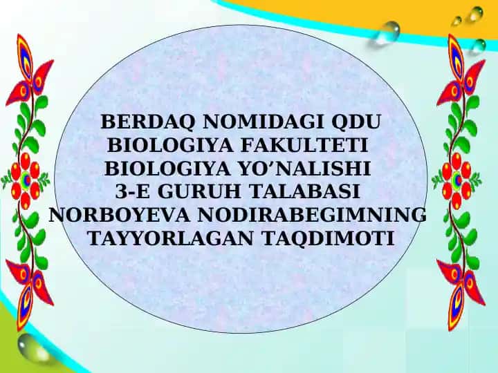 ADIR O’SIMLIKLARI