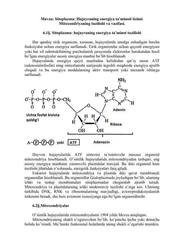 Sitoplazma va Mitoxondriyaning energiya ta’minoti