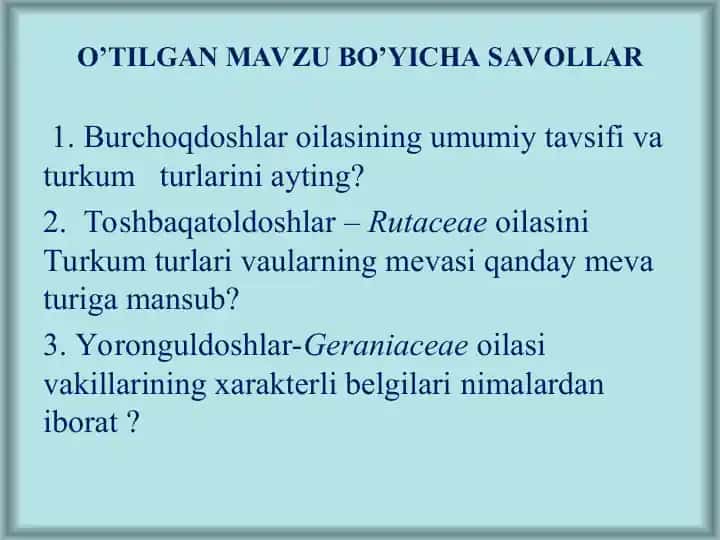 Yalpizkabilar-Lamidaesinfchasi