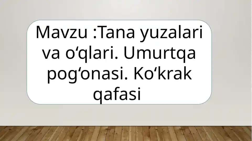 Tanayuzalar va O‘qlar