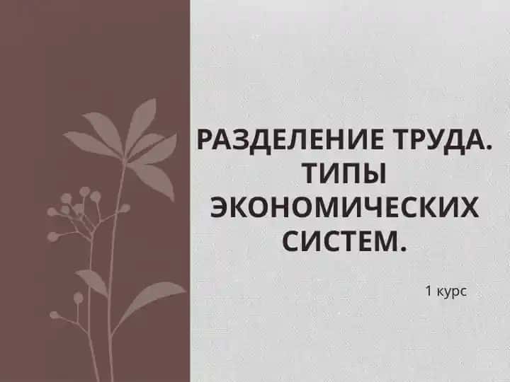 Разделение труда. Типы экономических систем.