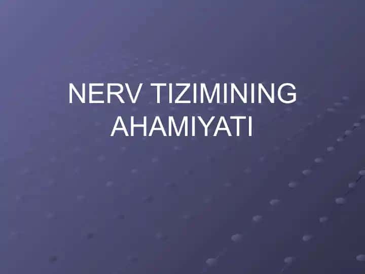 Nerv Tizimining Ahamiyati