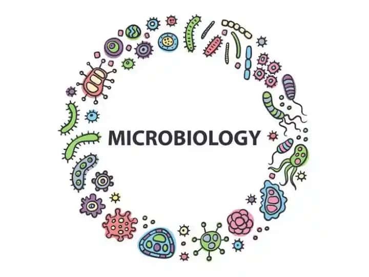 MIKROBIOLOGIYA, VIRUSOLOGIYA VA IMMUNOLOGIYA