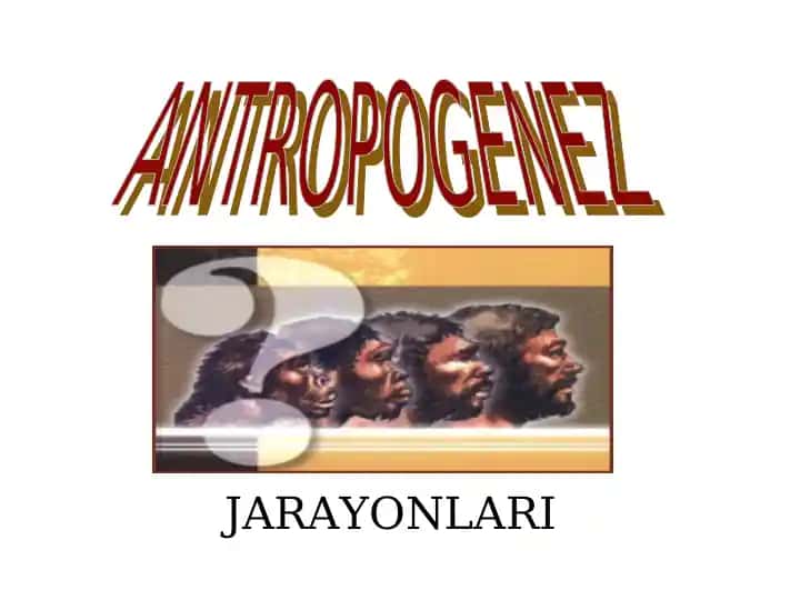 ANTROPOGENEZ JARAYONLARI